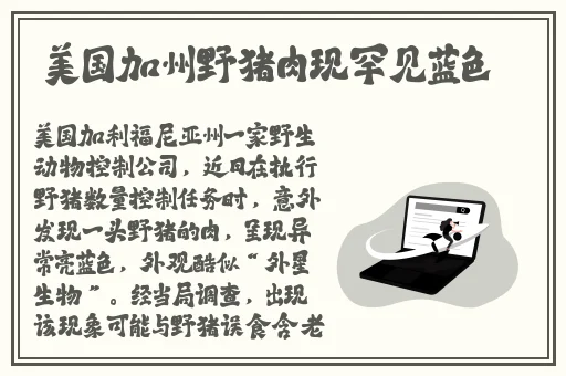 免费b站推广网站入口202